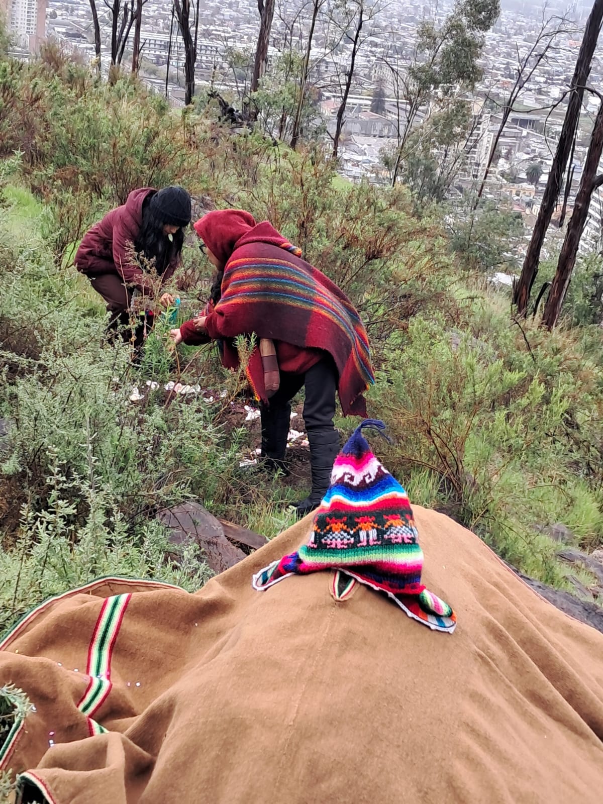 LlaqanPhaxsi_Cerro_Blanco